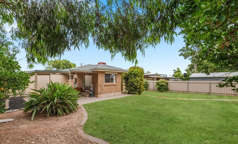 Photo - 19 Jenner Street, Morphett Vale SA 5162 - Image 14