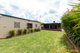 Photo - 19 Johns Avenue, Dubbo NSW 2830 - Image 15