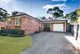 Photo - 19 Katrina Street, Seven Hills NSW 2147 - Image 1