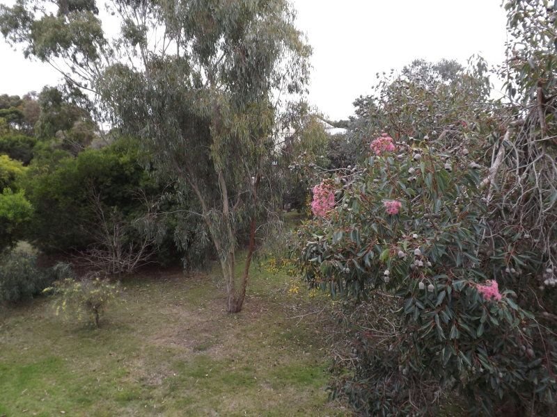 Photo - 19 King Street, Ventnor VIC 3922 - Image 11