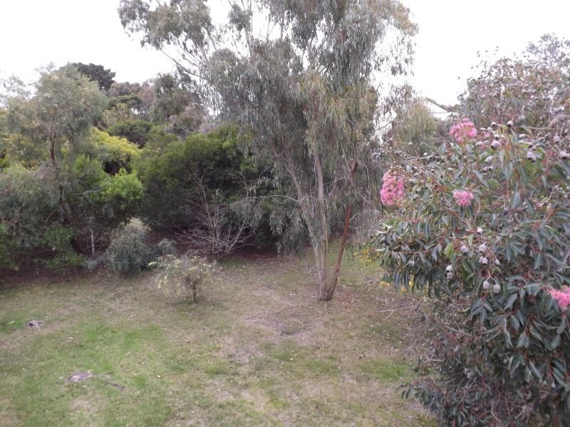 Photo - 19 King Street, Ventnor VIC 3922 - Image 16