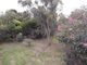 Photo - 19 King Street, Ventnor VIC 3922 - Image 16