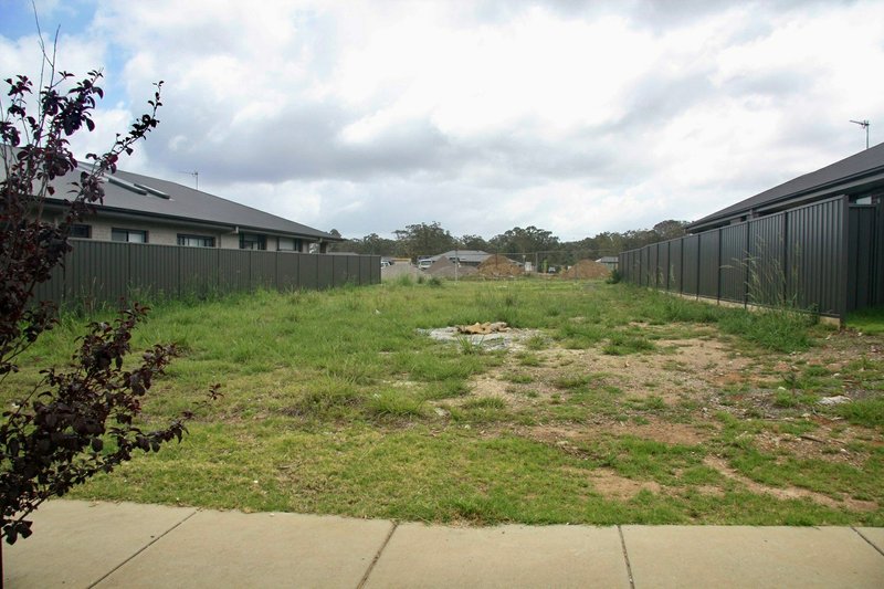 Photo - 19 Kingaroy Street, Medowie NSW 2318 - Image 6