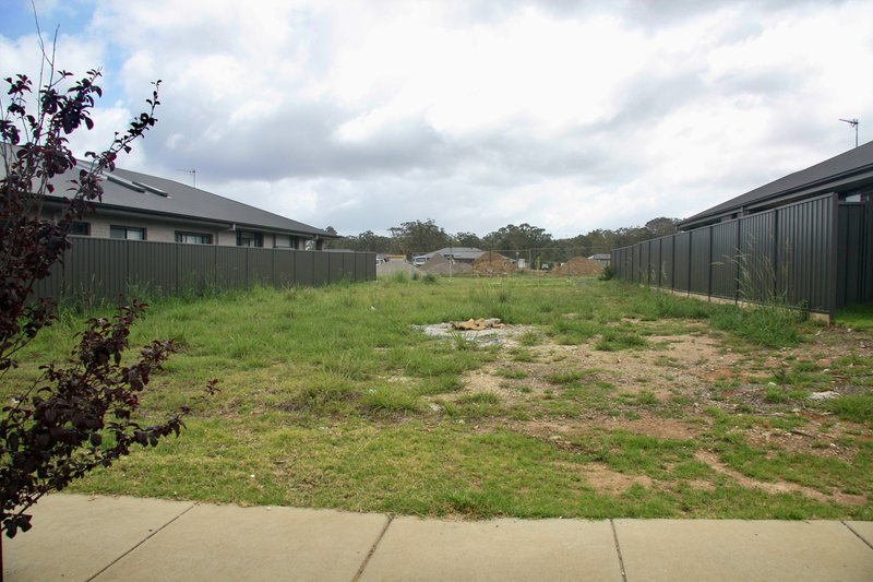 Photo - 19 Kingaroy Street, Medowie NSW 2318 - Image