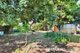 Photo - 19 Lalroy Street, Beachmere QLD 4510 - Image 12
