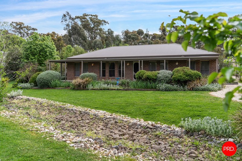 Photo - 19 Lawson Parade, Castlemaine VIC 3450 - Image 3