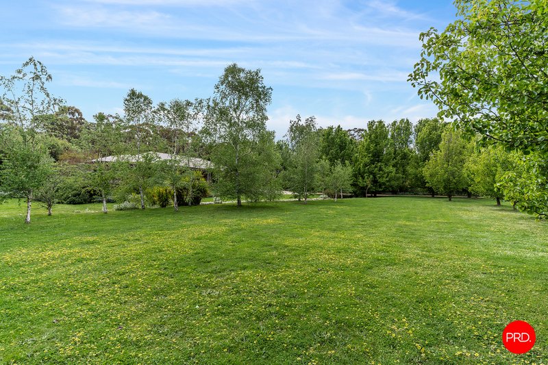 Photo - 19 Lawson Parade, Castlemaine VIC 3450 - Image 23