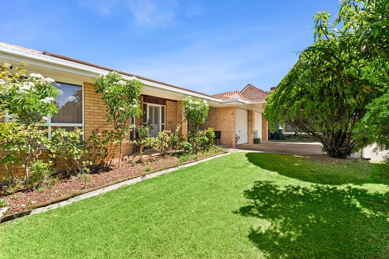 Photo - 19 Lindstrom Court, Runcorn QLD 4113 - Image 16