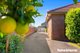 Photo - 19 Lovoni Street, Cabramatta NSW 2166 - Image 13