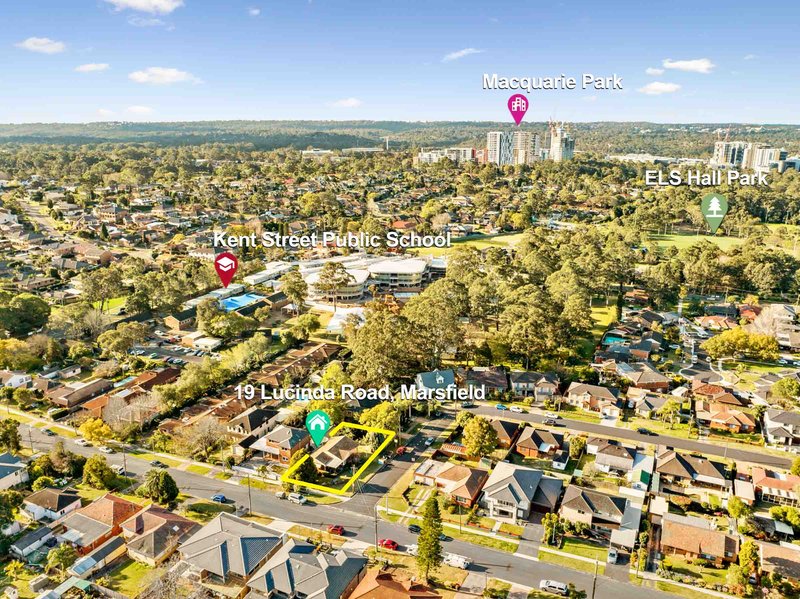 Photo - 19 Lucinda Road, Marsfield NSW 2122 - Image 4