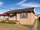 Photo - 19 Maclean Street, Cessnock NSW 2325 - Image 13