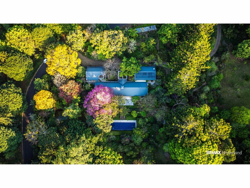 Photo - 19 Manley Drive, Montville QLD 4560 - Image 2
