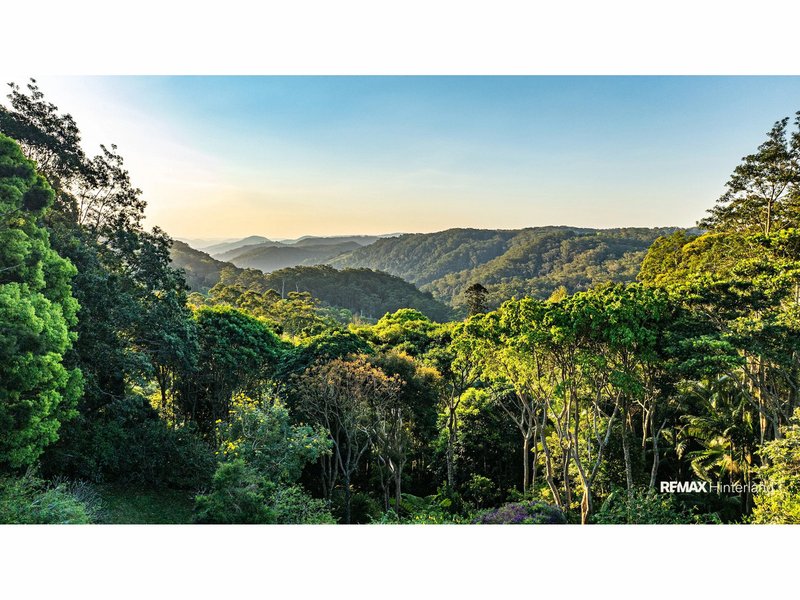 Photo - 19 Manley Drive, Montville QLD 4560 - Image 18