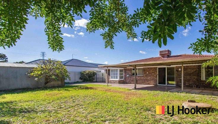 Photo - 19 Marjorie Avenue, Shelley WA 6148 - Image 2