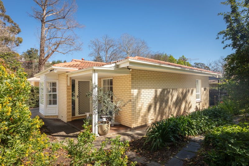 Photo - 19 Mcallan Avenue, Burnside SA 5066 - Image 2