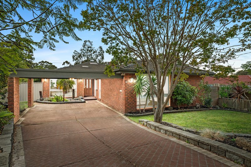 Photo - 19 Melissa Grove, Vermont South VIC 3133 - Image 14