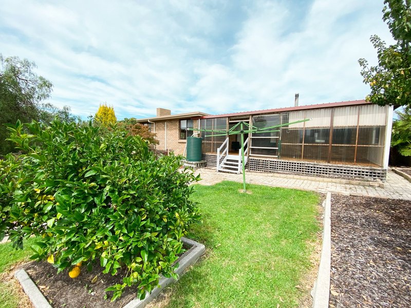 Photo - 19 Mimosa Street, St Helens TAS 7216 - Image 14