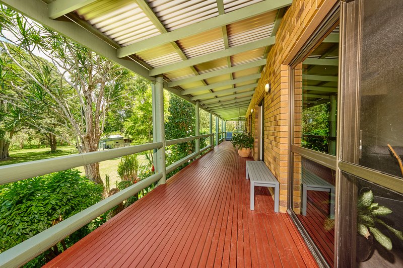 Photo - 19 Moffatts Road, Billinudgel NSW 2483 - Image 14