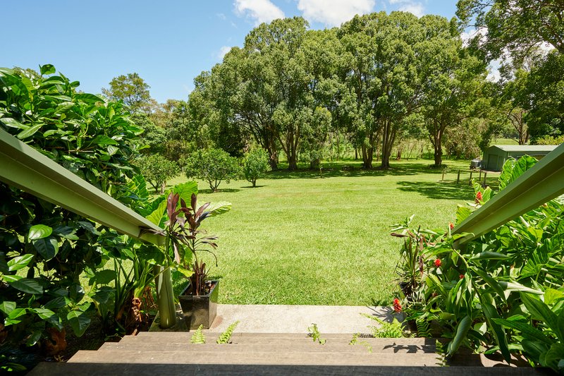 Photo - 19 Moffatts Road, Billinudgel NSW 2483 - Image 15