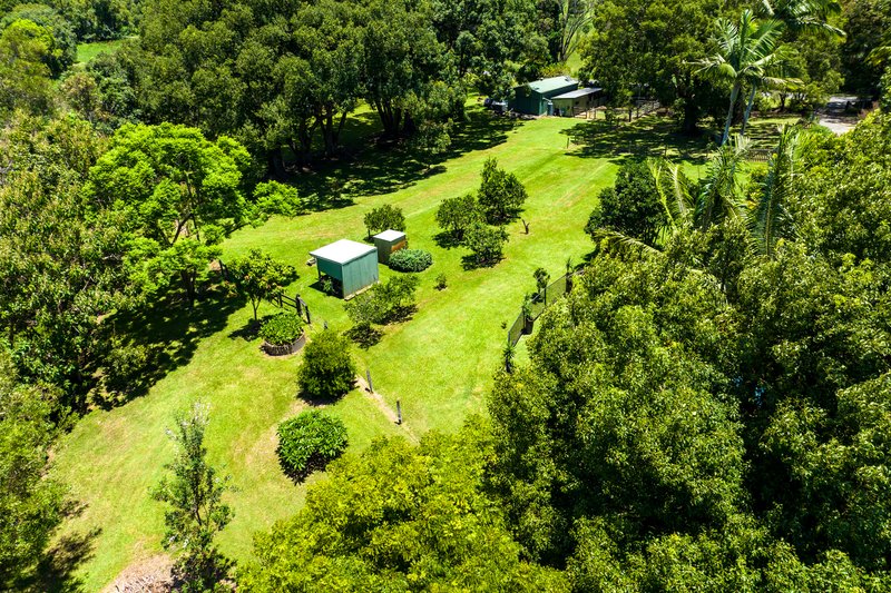 Photo - 19 Moffatts Road, Billinudgel NSW 2483 - Image 24