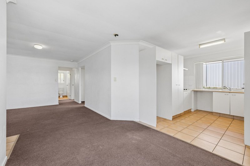 Photo - 19 Mona Court, Oxenford QLD 4210 - Image 19