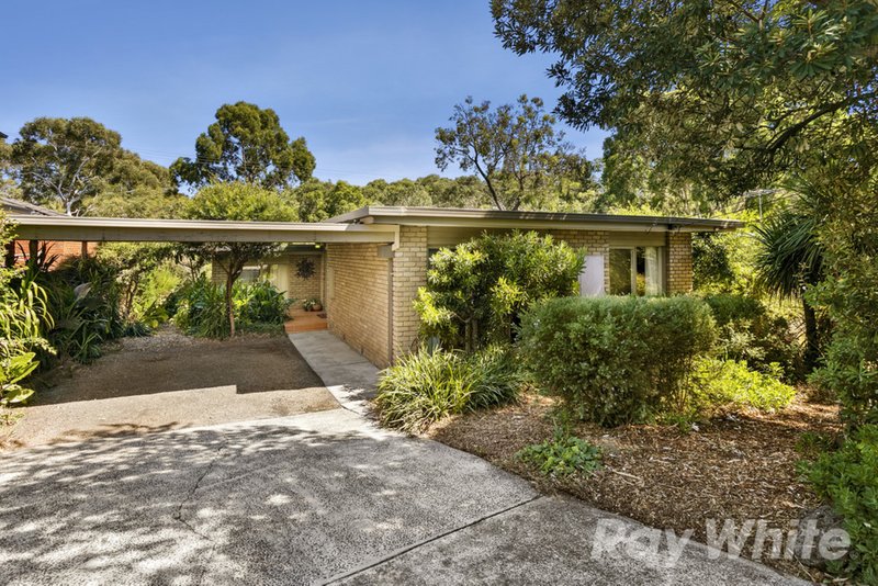 19 Monomeith Crescent, Mount Waverley VIC 3149