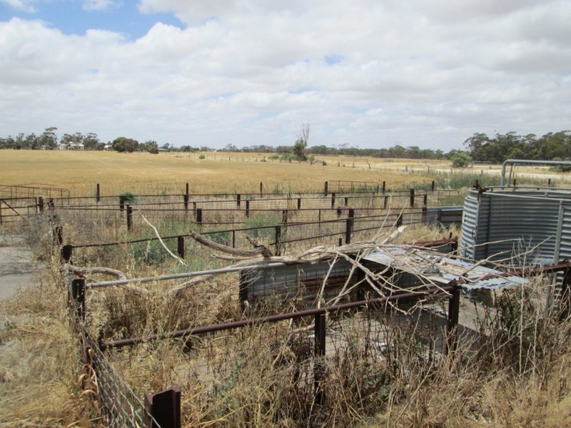 Photo - 19 Moorlands Road, Tailem Bend SA 5260 - Image 10