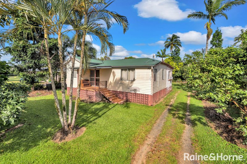 Photo - 19 Moresby Road, Moresby QLD 4871 - Image 2