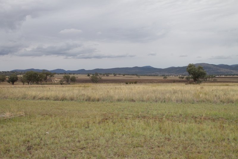 Photo - 19 Morning View Close, Quirindi NSW 2343 - Image 4