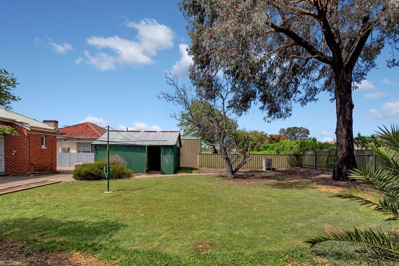 Photo - 19 Nelson Avenue, Flinders Park SA 5025 - Image 15