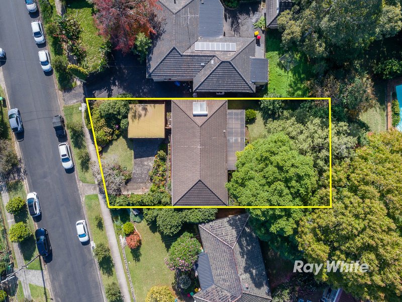 19 Orange Grove, Castle Hill NSW 2154