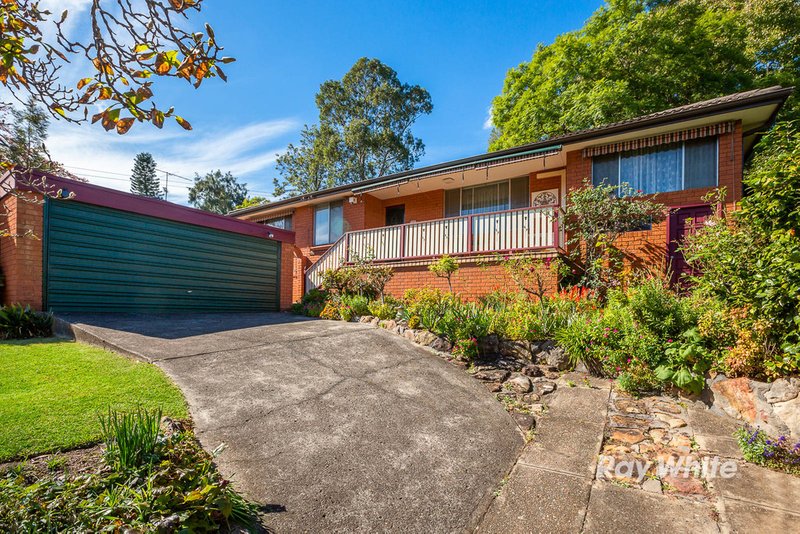 Photo - 19 Orange Grove, Castle Hill NSW 2154 - Image 4