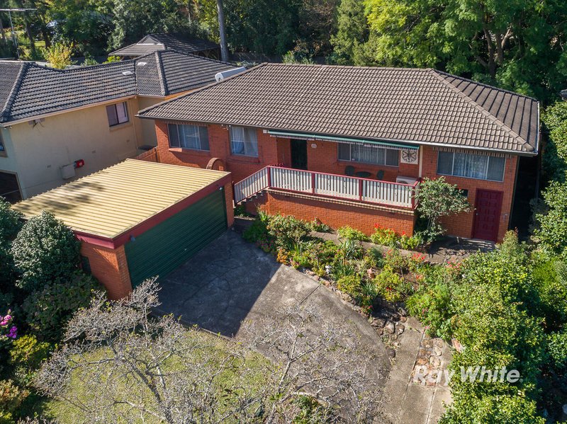 Photo - 19 Orange Grove, Castle Hill NSW 2154 - Image 17