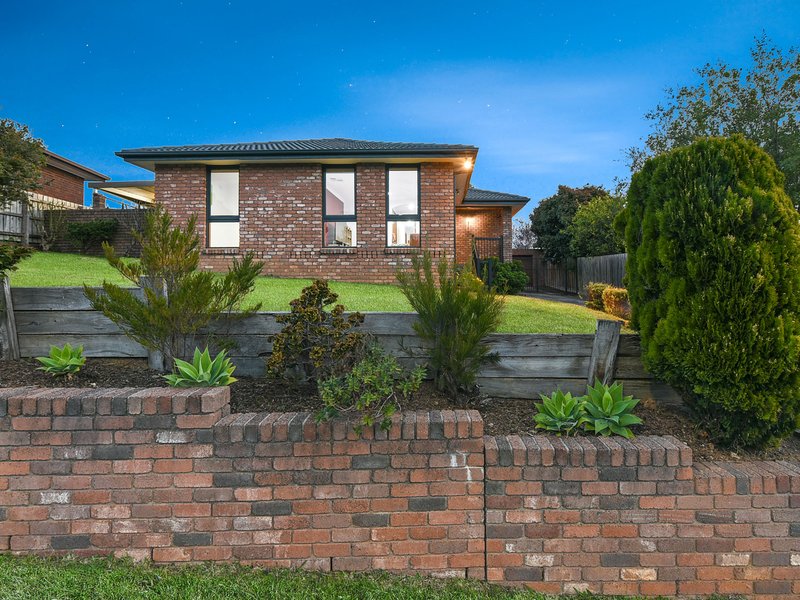 19 Orton Rise, Endeavour Hills VIC 3802