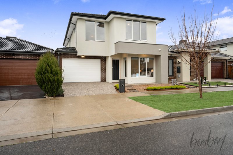 Photo - 19 Oxbow Street, Mickleham VIC 3064 - Image 3