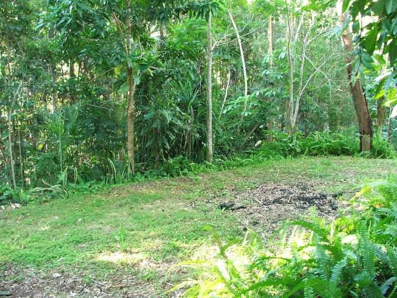 Photo - 19 Palana Court, Buderim QLD 4556 - Image 7