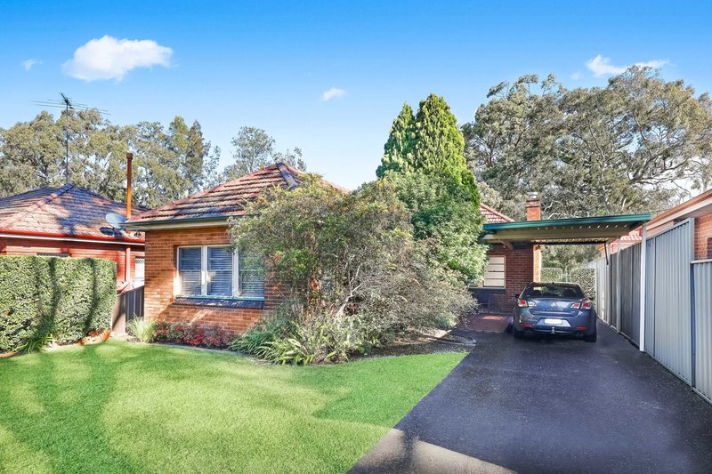 19 Palmer Avenue, Strathfield NSW 2135