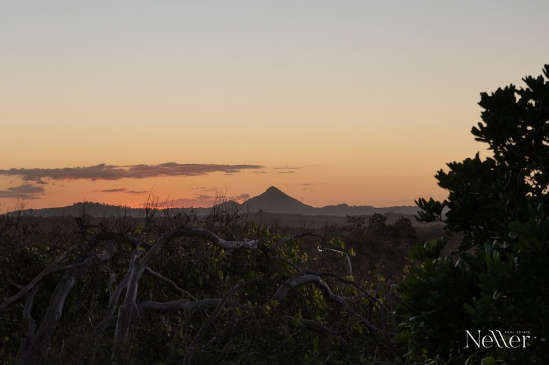 Photo - 19 Piper Street, Peregian Beach QLD 4573 - Image 16