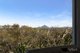 Photo - 19 Piper Street, Peregian Beach QLD 4573 - Image 26