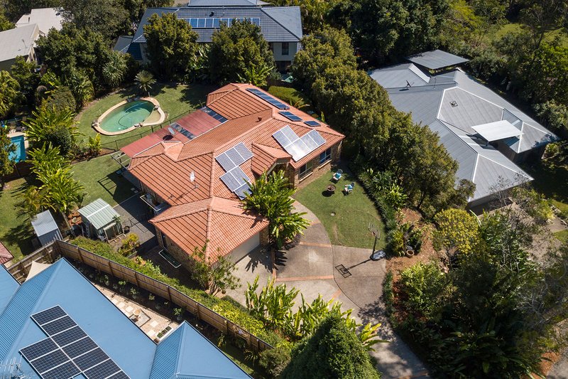 Photo - 19 Placid Place, Buderim QLD 4556 - Image 3