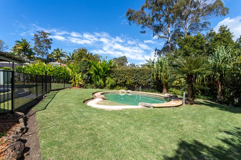 Photo - 19 Placid Place, Buderim QLD 4556 - Image 12