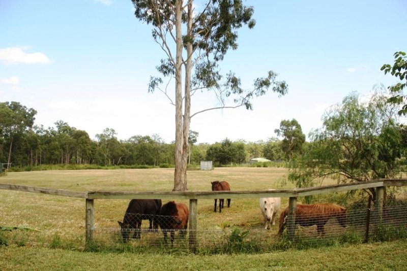 Photo - 19 Plantation Road, Tamborine QLD 4270 - Image 11