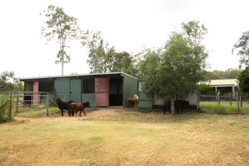 Photo - 19 Plantation Road, Tamborine QLD 4270 - Image 12