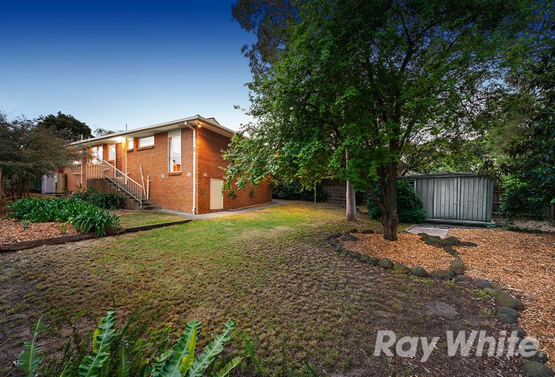 Photo - 19 Portland Street, Mulgrave VIC 3170 - Image 10