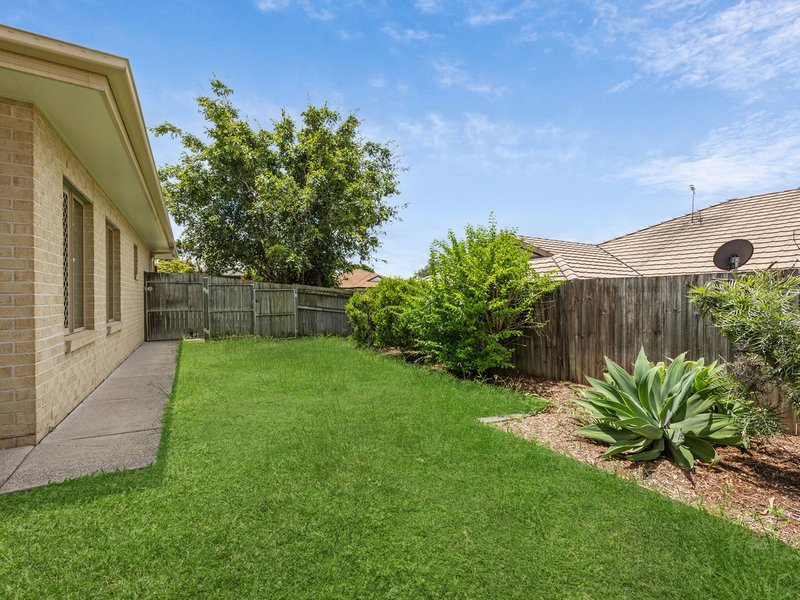 Photo - 19 Possumwood Place, Flinders View QLD 4305 - Image 4