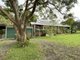 Photo - 19 Primrose Street, Wingham NSW 2429 - Image 1