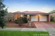Photo - 19 Protea Street, Carrum Downs VIC 3201 - Image 17