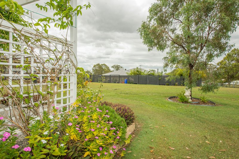 Photo - 19 Robyn Terrace, Fernvale QLD 4306 - Image 19