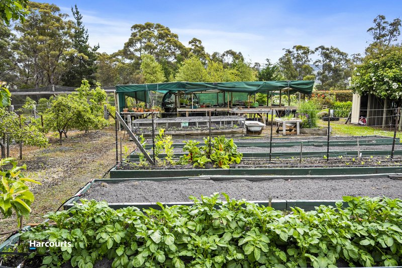 Photo - 19 Rowes Road, Cradoc TAS 7109 - Image 8