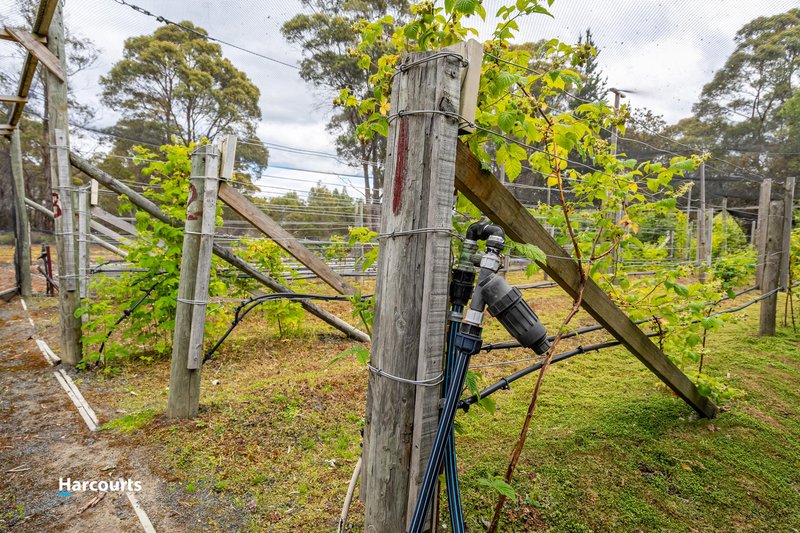 Photo - 19 Rowes Road, Cradoc TAS 7109 - Image 23